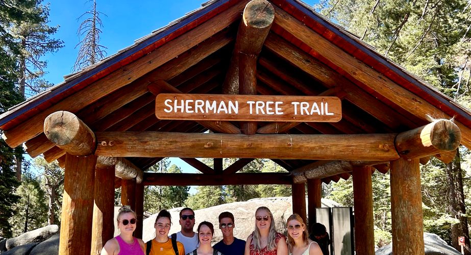 Sherman Tree Trail groepsreis  Californië